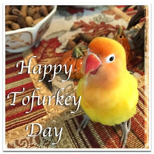 Happy Tofurkey Day