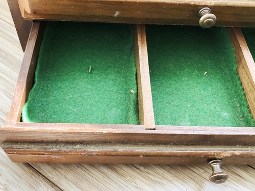Green casemaking moth inside drawer