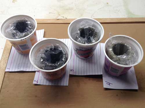 Wrapped Concrete Cups