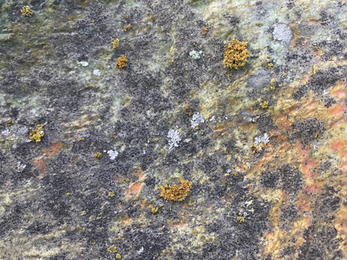 Sculpture on Deck with Lichens