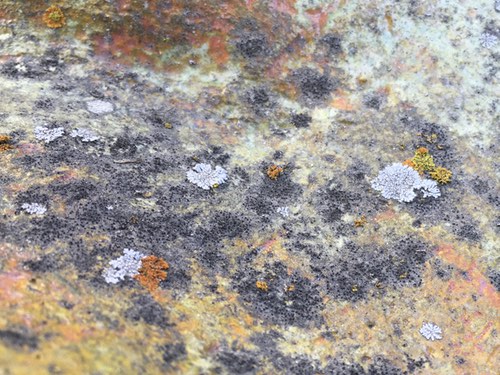 Sculpture on Deck with Lichens