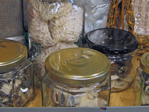 Stuff in Jars