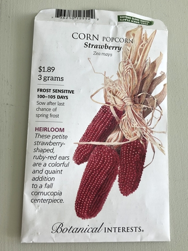 Corn Seed Packet