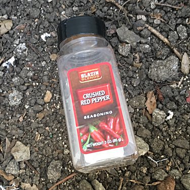 Empty Pepper Container