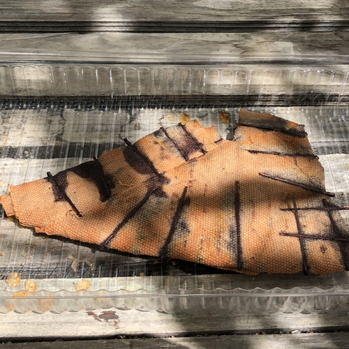 Fabric Rust Test